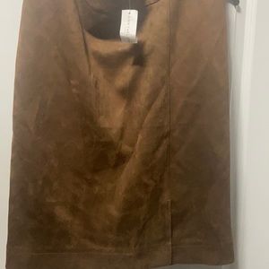 Ann Taylor Factory Skirt